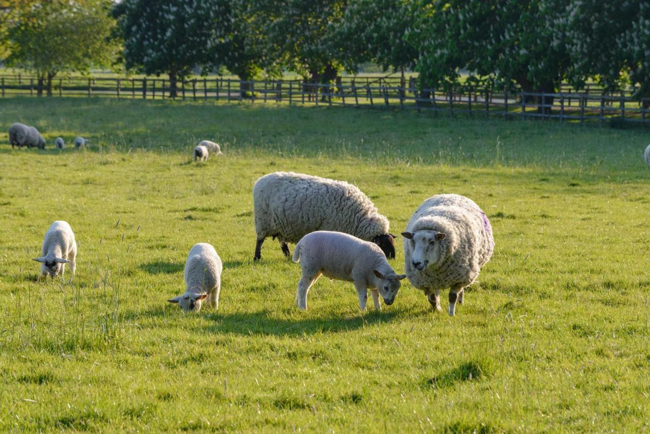Cambridge Country Cottages Εξωτερικό φωτογραφία